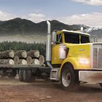 18 Wheeler Lumber Cargo